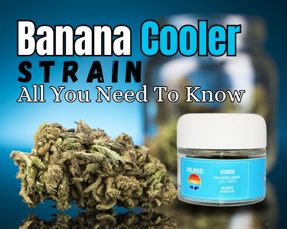 Banana Cooler Strain