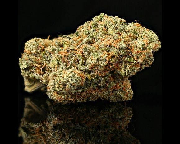 Lemon Tart – Indica