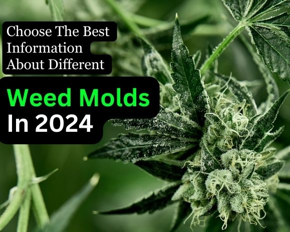 weed molds