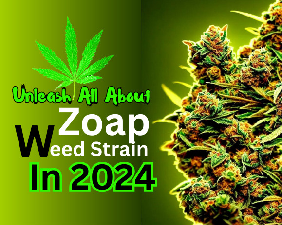 zoap weed strain