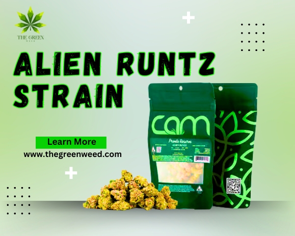 Alien Runtz Strain