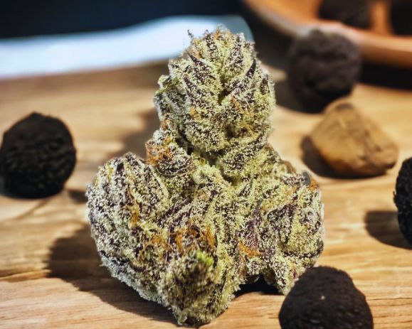 Purple Truffles Strain  flavors