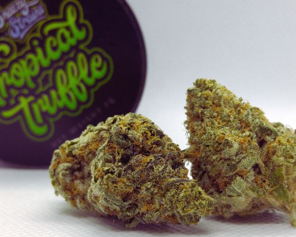 Purple Truffles Strain  flavors